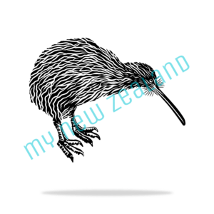 Kiwi Bird of New Zealand