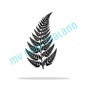 silver fern of new zealand