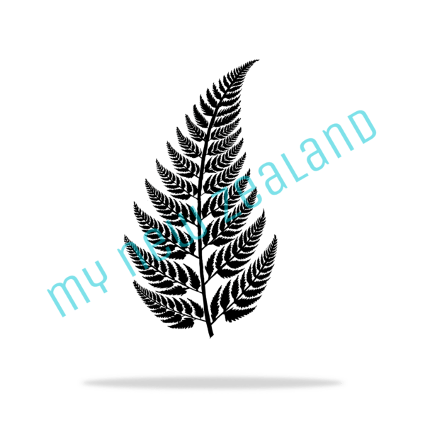 silver fern of new zealand