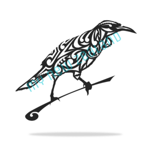 tui bird with pattern