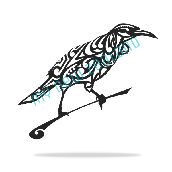 tui bird with pattern