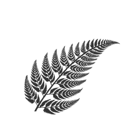 mynz silver fern