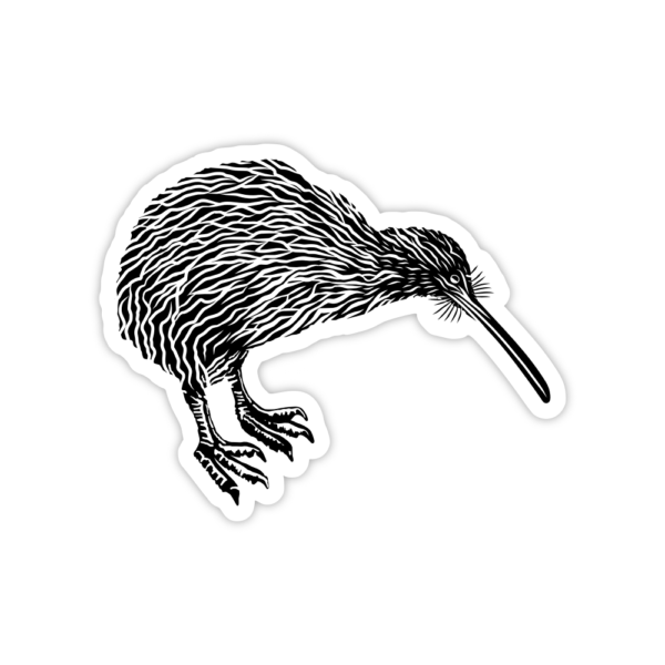 black kiwi sticker