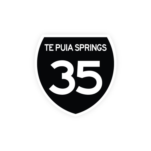 Te Puia Springs, Highway 35 - Image 4